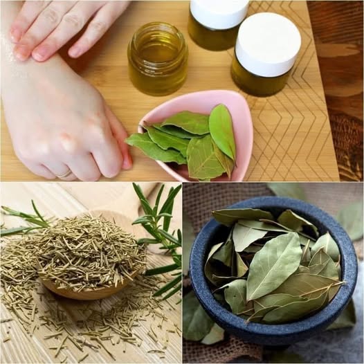 Natural Pain Relief for Joints and Bones with an Easy Herbal Oil Remedy