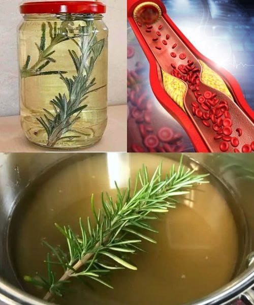 Rosemary-Infused White Wine A Natural Tonic for Heart and Circulation Health