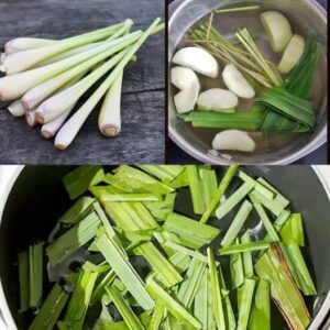 The Incredible Health Benefits of Lemongrass Tea Easy Recipe and Uses